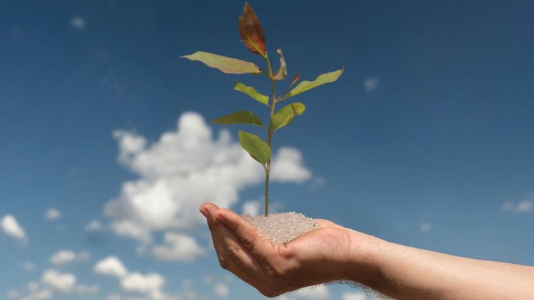 Gel para solo – Polímeros biodegradáveis devem acumular receita superior a US$23,6 bilhões até 2029